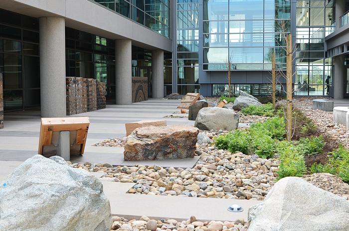 Rocks and trees at the entrance to the Math and Science building