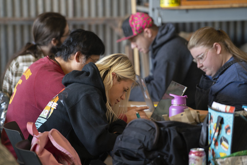 A group of students working together